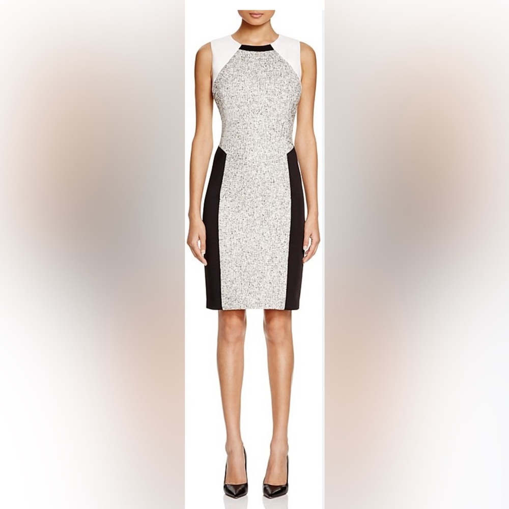 Tahari Pria Dress Size 8